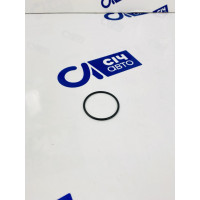 Кольцо уплотнительное впускного коллектора (новое) Volkswagen T5 N90062702